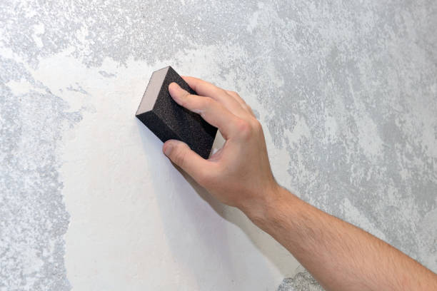 Best Mold Removal for HVAC Installations  in St Augusta, MN