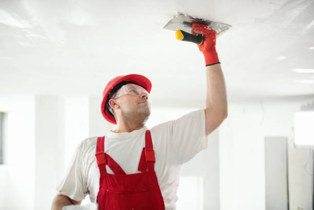 Best Forensic Mold Investigation  in St Augusta, MN