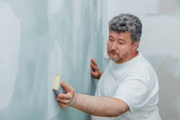  St Augusta, MN Mold Removal Pros